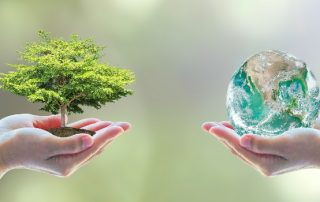 Sustainability in Jewellery