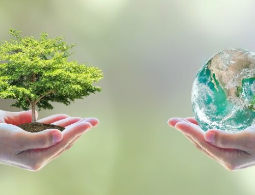 Sustainability in Jewellery