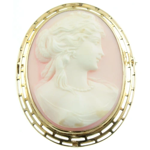 Edwardian Conch Shell Cameo Brooch
