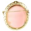 Conch Shell Cameo Brooch - Image 4