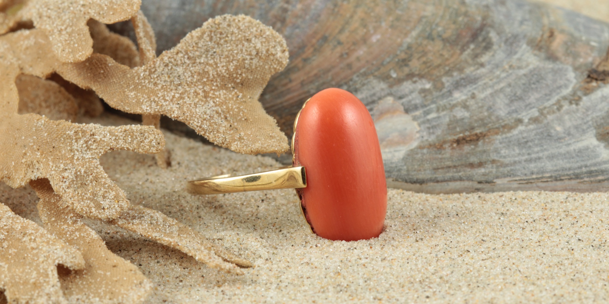Coral, Formation, History and Folklore