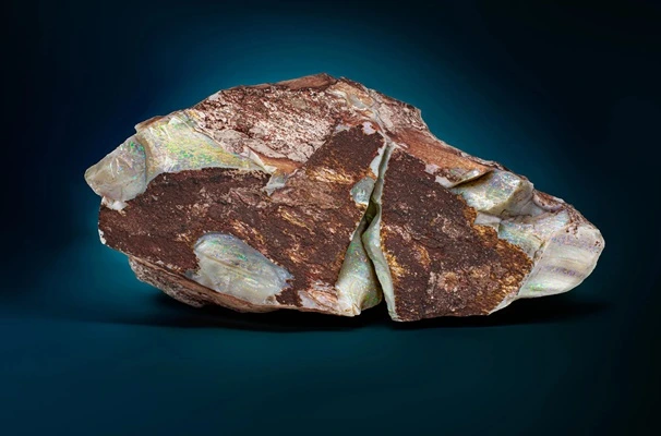 THE OLYMPIC AUSTRALIS