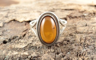 Amber - Formation, History, Meaning, and Folklore.