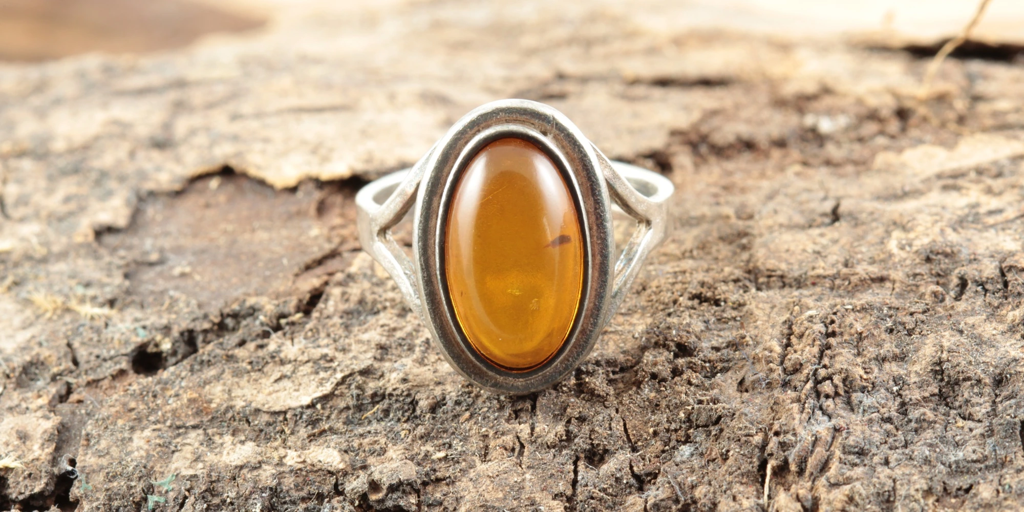 Amber - Formation, History, Meaning, and Folklore.